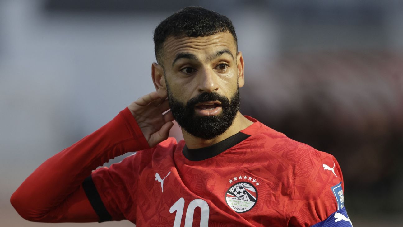 埃及世界杯球衣应要求去除七颗星 FIFA规范再引关注